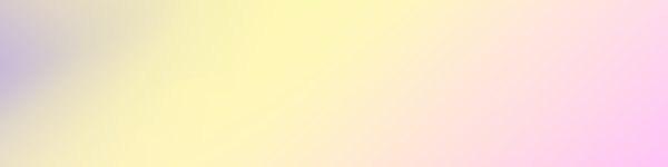 Seller Prime Banner